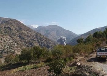 Zaxo’da köy kırsalı bombalandı: 50 koyun öldü