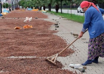 ‘Fındığa alım garantisi verilsin’