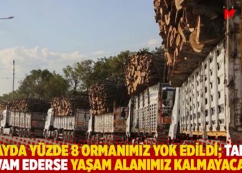 "7 ayda y&uuml;zde 8 ormanımız yok edildi; talan devam ederse yaşam alanımız kalmayacak"
