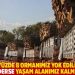 "7 ayda yüzde 8 ormanımız yok edildi; talan devam ederse yaşam alanımız kalmayacak"