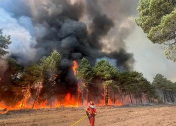 Akdeniz ülkelerinde orman yangını, İngiltere'de 'kırmızı uyarı'