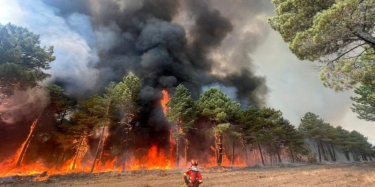 Akdeniz ülkelerinde orman yangını, İngiltere'de 'kırmızı uyarı'
