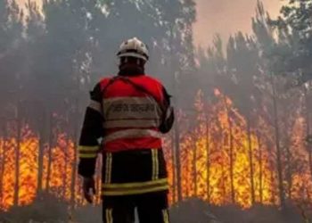 Akdeniz ülkelerindeki orman yangınları binlerce kişinin tahliye edilmesine yol açtı