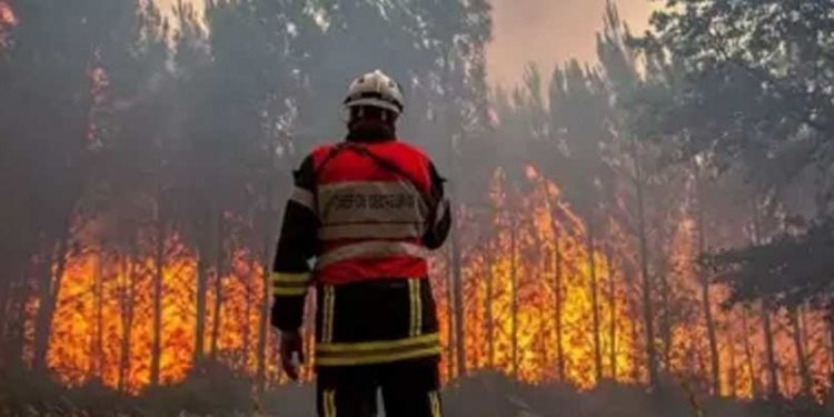 Akdeniz ülkelerindeki orman yangınları binlerce kişinin tahliye edilmesine yol açtı