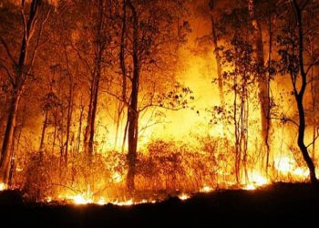 Akdeniz yanıyor: Portekiz, İspanya, Fransa ve Yunanistan'da binlerce kişi tahliye edildi