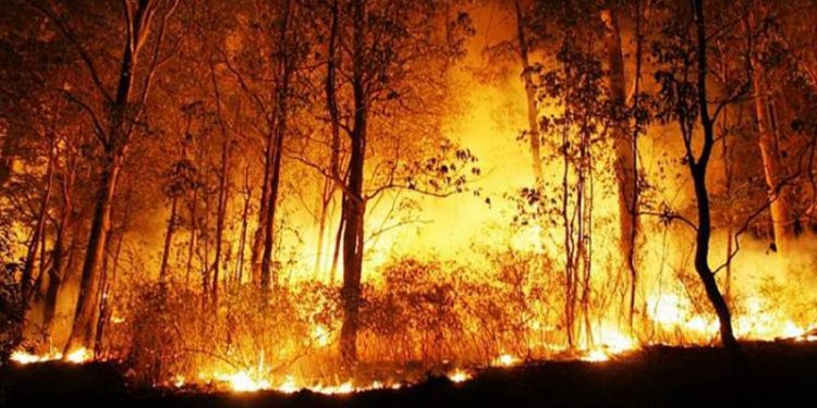 Akdeniz yanıyor: Portekiz, İspanya, Fransa ve Yunanistan'da binlerce kişi tahliye edildi