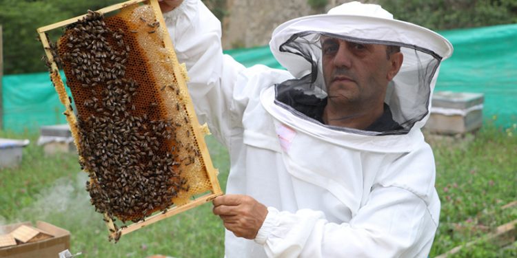 Anzer balının kilogram fiyatı 2 bin TL'ye çıkarıldı