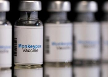 Avrupa Birliği'nden Maymun &ccedil;i&ccedil;eği aşısına onay