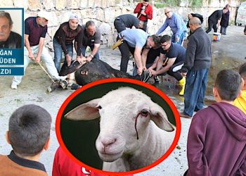 Avrupa başkentinde sol helalcilik