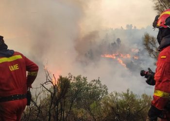 Avrupa'da sıcak hava dalgası: 300'e yakın ölüm ve orman yangınları, İngiltere'de kırmızı alarm