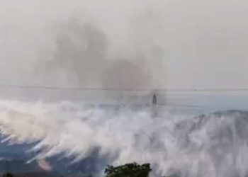 Avrupa'da sıcak hava dalgası: Akdeniz ülkeleri orman yangınları ve sıcakla mücadele ediyor