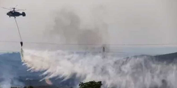 Avrupa'da sıcak hava dalgası: Akdeniz ülkeleri orman yangınları ve sıcakla mücadele ediyor