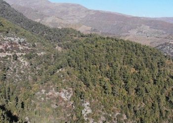 Aydın'da kent ormanları, milli parklar ve piknik alanları ziyarete kapatıldı