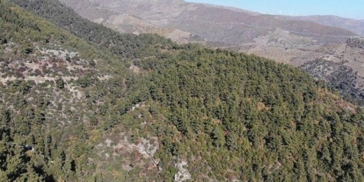 Aydın'da kent ormanları, milli parklar ve piknik alanları ziyarete kapatıldı