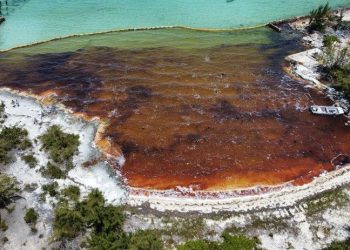 Bahamalar’da petrol faciası