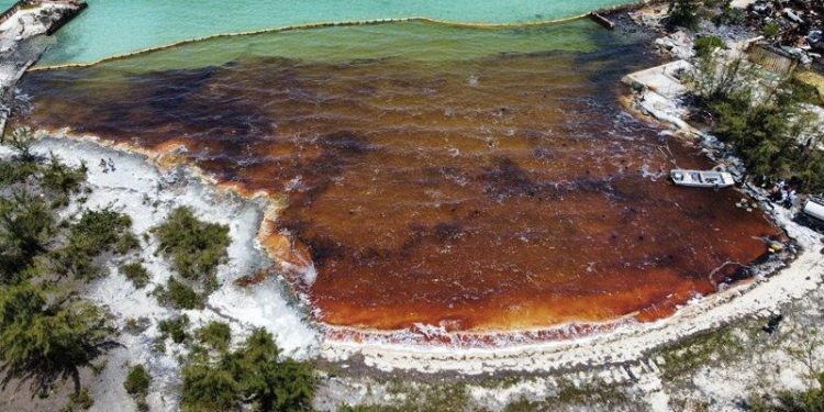 Bahamalar’da petrol faciası
