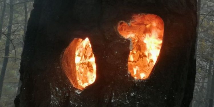 Bakan Kirişçi açıkladı: 'Datça'da yangın kontrol altında'