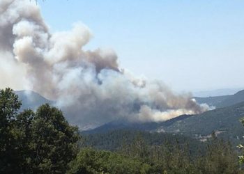 Balıkesir'deki orman yangının nedeni enerji nakil hatları