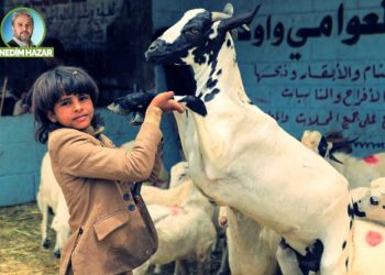 Benim kurbanım, benim kararım!