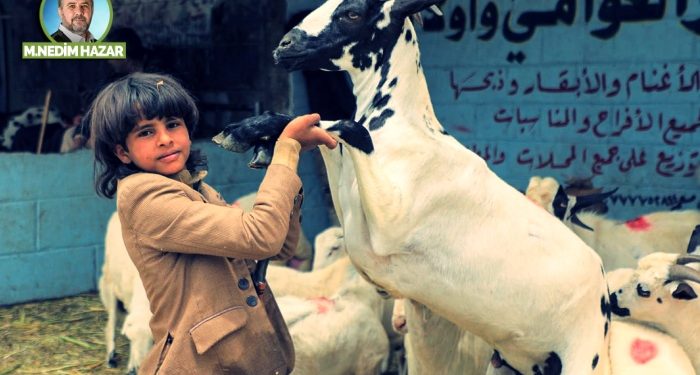 Benim kurbanım, benim kararım!