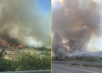 Bergama'da orman yangını: Alevler süt fabrikasına yaklaştı