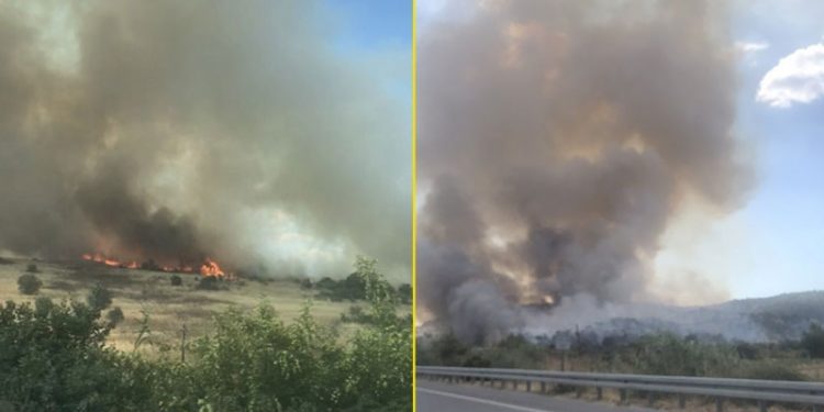 Bergama'da orman yangını: Alevler süt fabrikasına yaklaştı