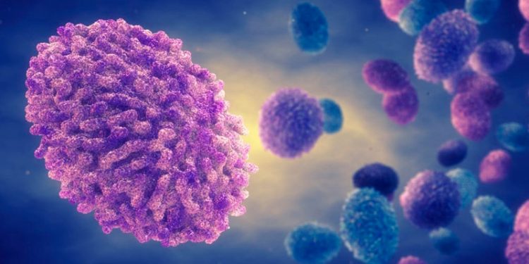 Bilim insanları uyardı: Maymun çiçeğini kontrol altına almak için zaman daralıyor