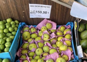 Bir kilo incir 160 lira: ‘Büyük bir şok yaşadım ve incirleri orada bıraktım’