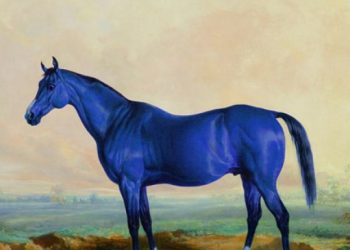 Bir şizofrenin gözünden: Mavi At