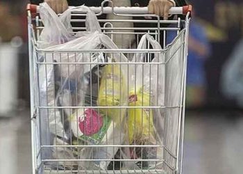 Birleşik Kamu-İş: Geçen yıl 100 liraya dolan sepet bu yıl 275 lira