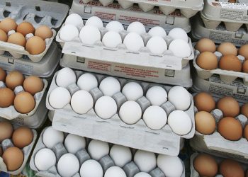 Bloomberg: Türkiye'de enflasyonun faturası şimdi de yumurtacılara kesiliyor