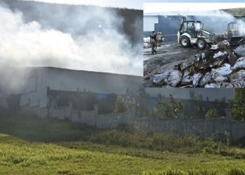 Bursa'da, hayvan çiftliğinde çıkan yangında çok sayıda küçükbaş öldü