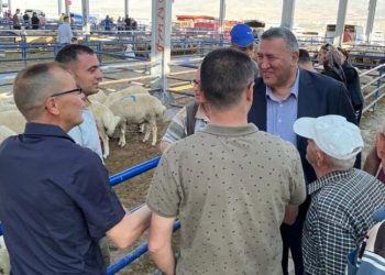 CHP'li Gürer: Yem fiyatlarına müdahale edilmesi gerekiyor