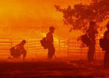 California'da orman yangınları: Yosemite Ulusal Parkı'na yaklaşan yangın endişe yaratıyor