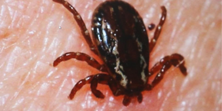 Çankırı'da bir kişi daha KKKA'dan yaşamını yitirdi