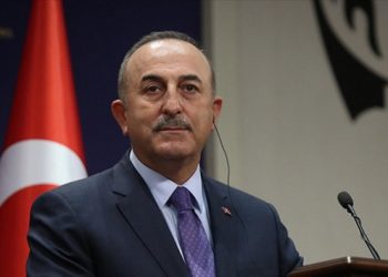 &Ccedil;avuşoğlu: Rejime her t&uuml;rl&uuml; desteğe hazırız