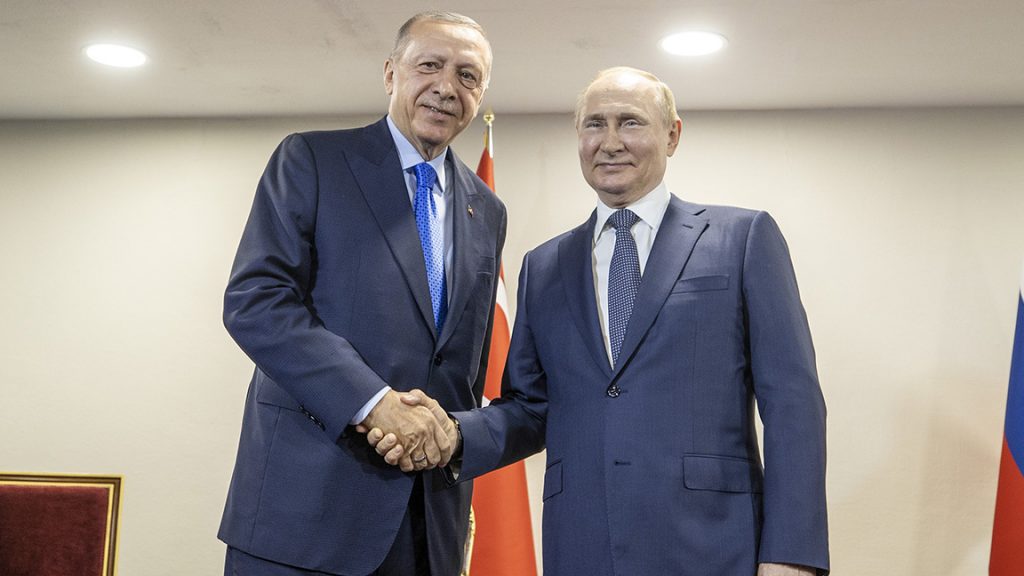 Cumhurbaşkanı Erdoğan, Rusya Devlet Başkanı Putin ile bir araya geldi