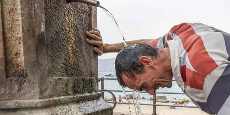 DSÖ Avrupa Direktörü Kluge: Avrupa'daki sıcaklar korkutucu ve kıyametle alakalı