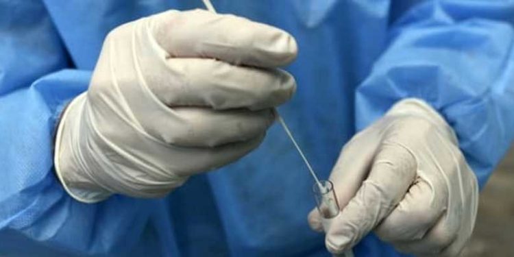 DSÖ: Covid-19 vakaları 110 ülkede artıyor, salgın henüz bitmedi