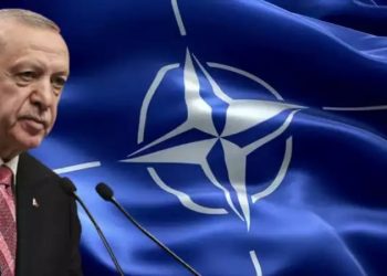 Dagens Nyheter yayın kurulu: İsveç Erdoğan'a boyun eğmemeli