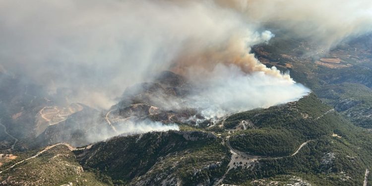 Datça’da 1000 futbol sahası kadar orman yandı: ‘Oysa önlenebilirdi’