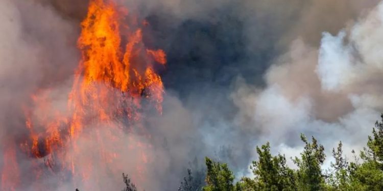 Datça’da çıkan orman yangını yerleşim yerlerine yaklaştı