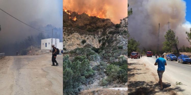 Datça’da orman yangını! Karadan ve havadan müdahale ediliyor