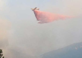 Datça'daki orman yangını ikinci gün de sürüyor: Çıkış nedeni belli oldu; şimdiye kadar 19 kişi etkilendi