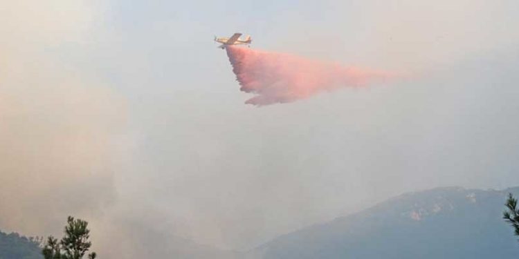 Datça'daki orman yangını ikinci gün de sürüyor: Çıkış nedeni belli oldu; şimdiye kadar 19 kişi etkilendi