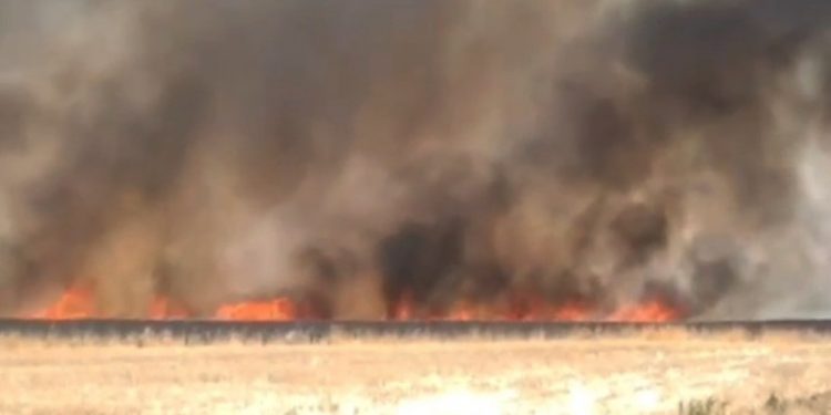 Diyarbakır'da 220 dönüm tarlada ekili buğday ve arpa yandı