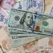 Dolar, Türk Lirası karşısında yılın zirvesine çıktı; 17,50 TL