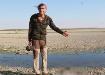 Düden Göleti’nde yüzlerce martı ölü bulundu