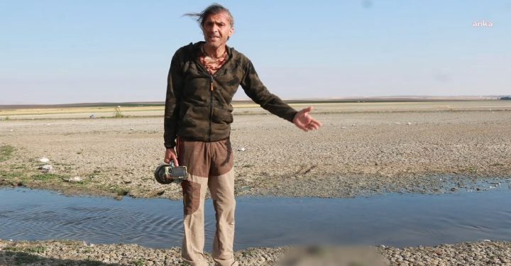 Düden Göleti’nde yüzlerce martı ölü bulundu