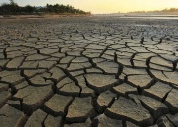 Dünya bu yılın kaynaklarını 28 Temmuz'da, Türkiye 22 Haziran'da tüketti